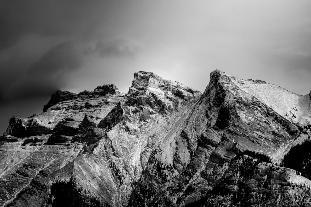 pexels allenhu 35199521